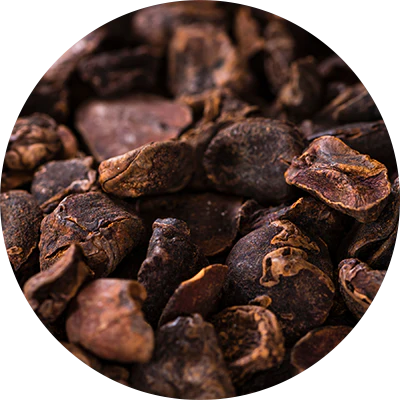 Noix de cola