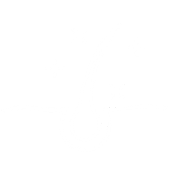 Hair food supplements