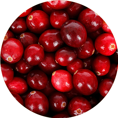 Cranberry
