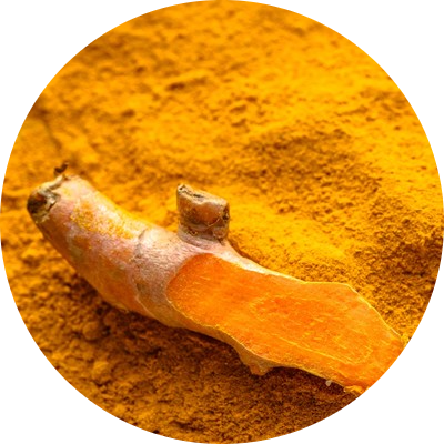 Curcuma
