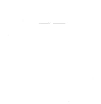 Detox food supplement