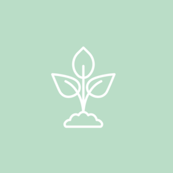 complément alimentaire phytothérapie