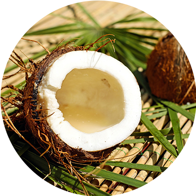 Noix de coco