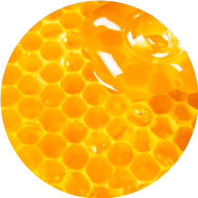 Gelée royale