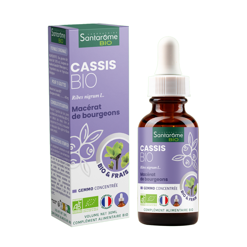 Organic Fresh bud macerate - Organic Cassis