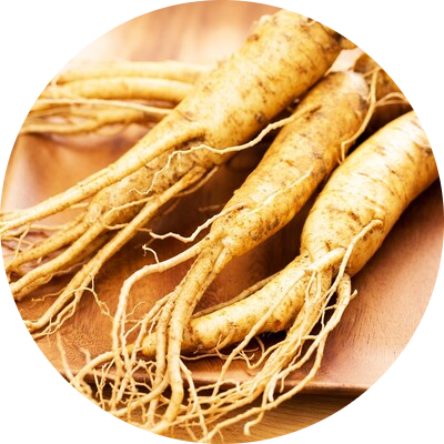 Ginseng