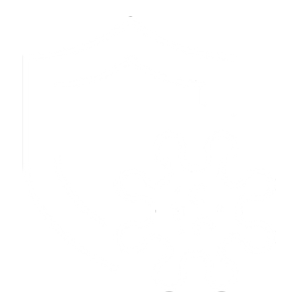 Food supplements to boost your immune defenses