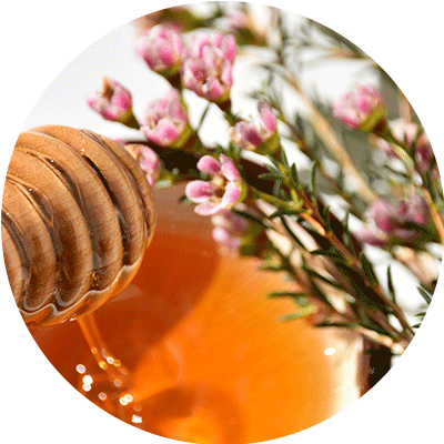 Miel de Manuka