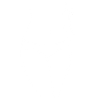 Food supplements for slimming