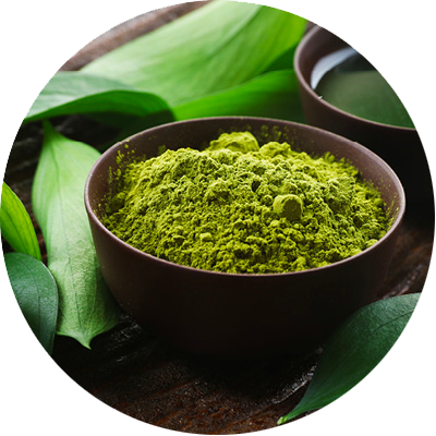 Maté