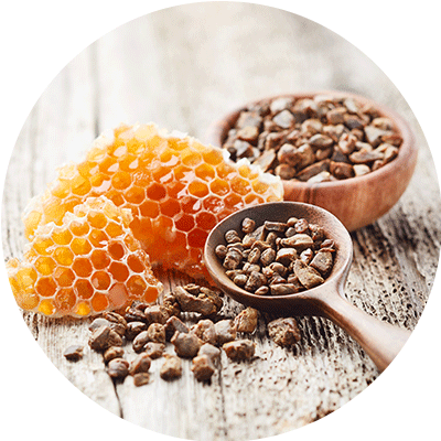 Propolis