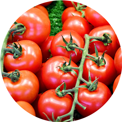 Tomate