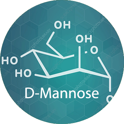 D-Mannose