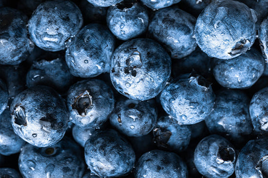blueberry_fruit_plant_hair_growth