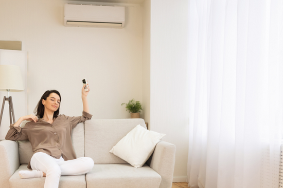 Purify the air in your home 