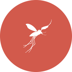 Anti-moustiques : répulsif et apaisant