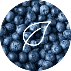 Complément alimentaire Myrtille