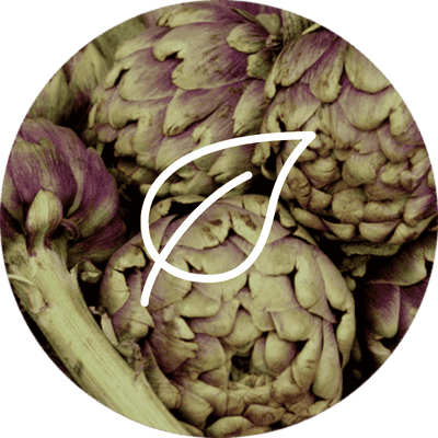 Artichaud