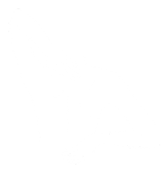 Joint food supplements