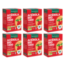Acerola Organic 1000 - 20 tablets