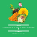 Organic Liver Well-being - Hépatonic - 30 ampoules