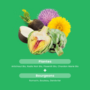 Organic Liver Well-being - 30 capsules