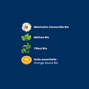 Good Night Organic - 20 infusions