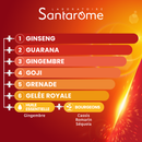 Vita'Max Booster 6G - 20 ampoules