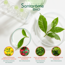 Roll-on Organic Blow & Bumps