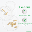 Desmodium 2500 - 30 capsules