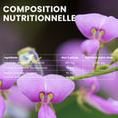 Desmodium 2500 - 30 capsules