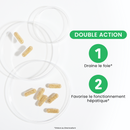 Desmodium 2500 - 30 capsules