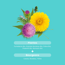 Organic Detox- 20 Vials