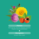 Drain Elimination Organic - 20 Vials