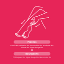 Organic Light Legs - 20 ampoules