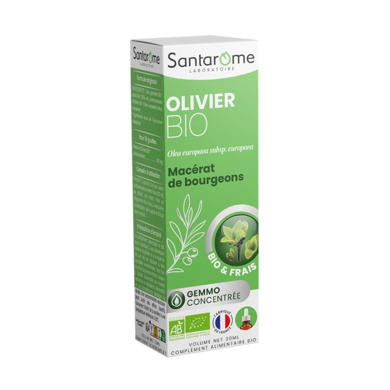 Macérat de Bourgeons - Olivier Bio