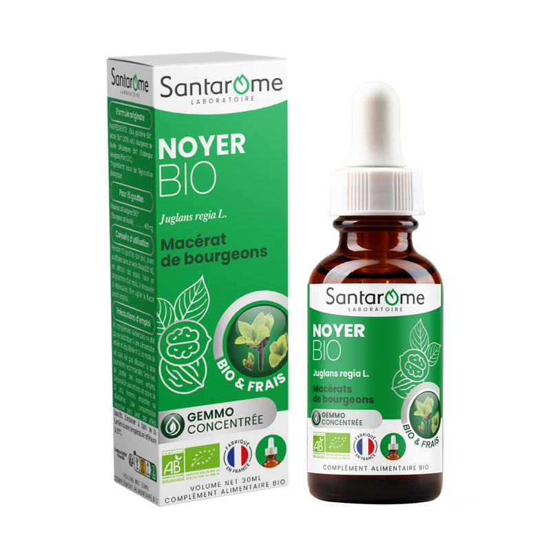 Macérat de Bourgeons - Noyer Bio