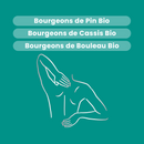 Organic Fresh bud macerate - Joint Comfort Bio