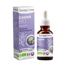 Organic Fresh bud macerate - Organic Cassis