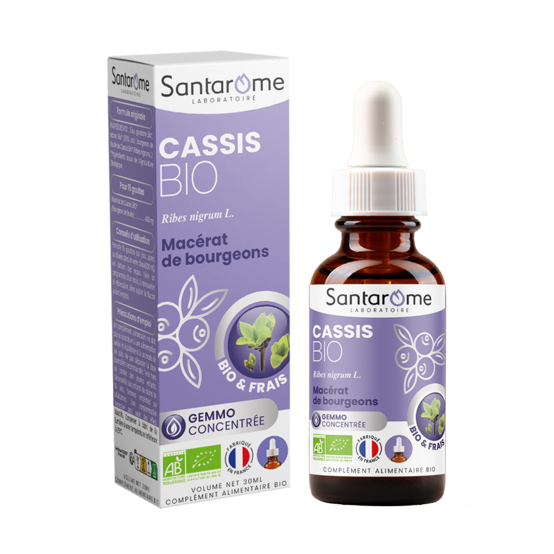 Organic Fresh bud macerate - Organic Cassis