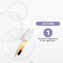 Organic Fresh bud macerate - Organic Cassis