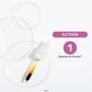 Organic fresh bud macerate - Organic Fig Tree