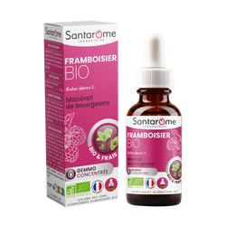 Organic Fresh bud macerate - Organic Raspberry