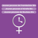 Organic fresh bud macerate - Menopause Organic