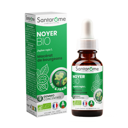 Bud Macerate - Organic Walnut