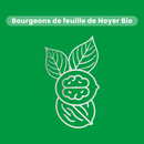 Bud Extract - Organic Walnut