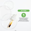 Bud Extract - Organic Olive