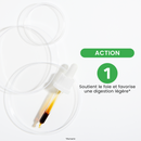 Bud macerate - Organic Rosemary