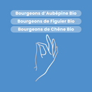 Organic fresh bud macerate - Organic Stress