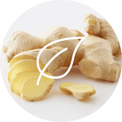 Gingembre